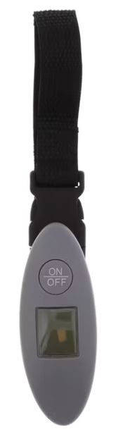 Цифрова  везна  Spilbergen